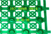 V500*500ˮ#όˮa(chn)B(yng)ֳˮ