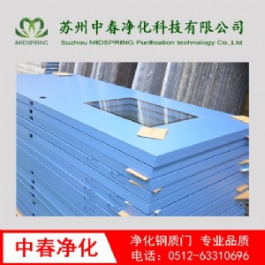 凈化門(mén)窗 鋼質(zhì)凈化門(mén) 醫(yī)用凈化門(mén) 鋼制凈化門(mén) 不銹鋼潔凈門(mén)