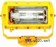 供應(yīng)BFC8100,防爆外場強(qiáng)光泛光燈