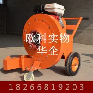 ๦·洵L(fng)C ·ߙC