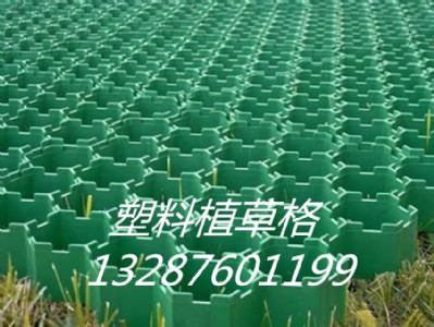 Ϻֲݸ|Ϻֲݸ޹˾gӭ