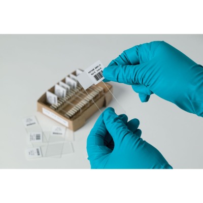 ͵͜ؾ(bio)b-481