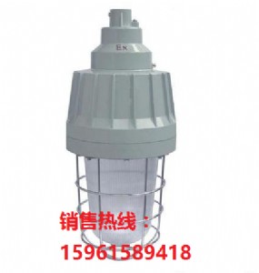 bad61隔爆型防爆燈 吊桿式防爆燈廠