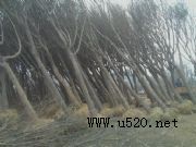 16gևr(ji)