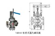 Y45H-25CܗUʽpy(D)