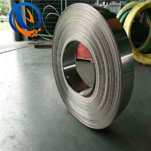 GH2907(GH907)