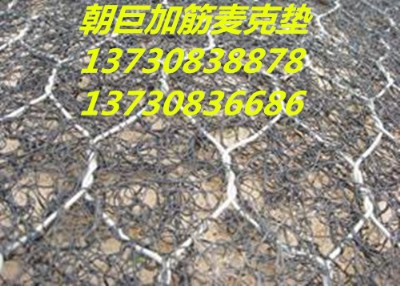 ·o(h)W(wng)ʯ\W(wng)Sʯ\W(wng)eW(wng)ʯ\W(wng)l(f)