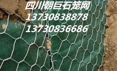 ʯ\W(wng)eW(wng)ߠʯ\W(wng)·o(h)W(wng)ӽˉ|l(f)