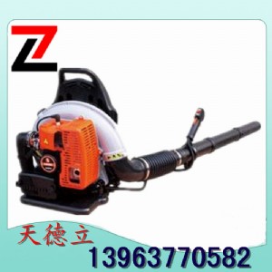 ؓ(f)ʽ·洵L(fng)C(j) mC(j)(qing)L(fng)·C(j)