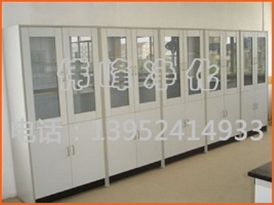 試劑柜 通風(fēng)試劑柜 實驗室試劑柜