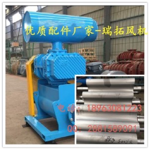 特殊氣體羅茨風(fēng)機廠家 沼氣輸送羅茨風(fēng)機