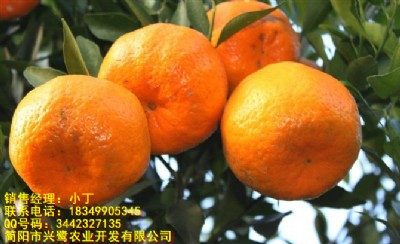 VԪҊl(f)VԪҊcVԪҊ
