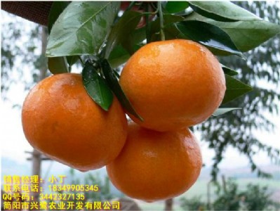 _(d)Ҋ(jin)l(f)_(d)Ҋ(jin)c(din)_(d)Ҋ(jin)