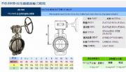 臺(tái)灣RING東光閥門FIG.890延性鑄鐵齒輪式蝶閥