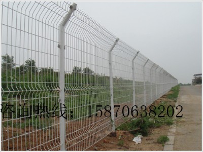 ϲ@և 质h䓽zW(wng)Ҏ(gu) ƺo(h) FzW(wng)ڶX(qin)һ