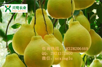 ޽r(ji)