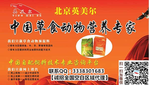 ䷽ȫ_䷽_ϡӢ				