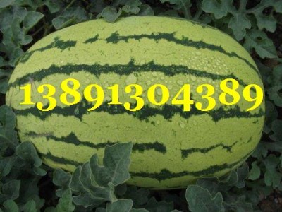 5ϮaЃr