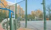 W(xu)@xřڣ\ӈطo(h)W(wng)wW(wng)ʩb