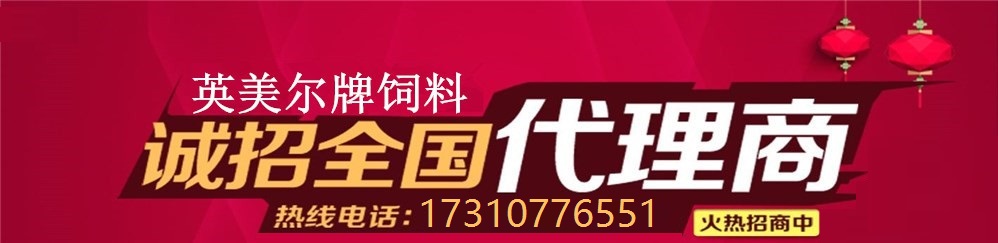ţ ţ