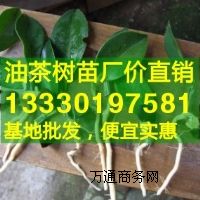 Ͳ,ǸͲ(sh),VJݸ߮a(chn)Ͳr(ji)