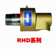 RHϵD(zhun)^	(D)