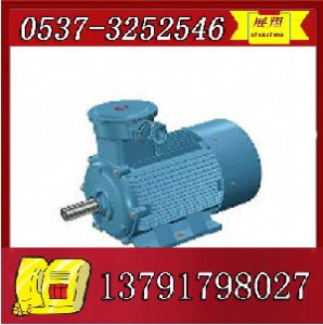 ybk2-250m-6늙C