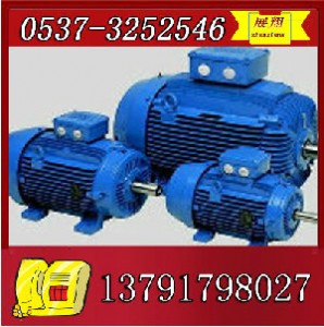 ybk2-315s-6늙C