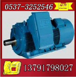 ybk2-315l1-8늙C(j)