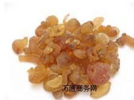 za(chn)Sҡʳüzr